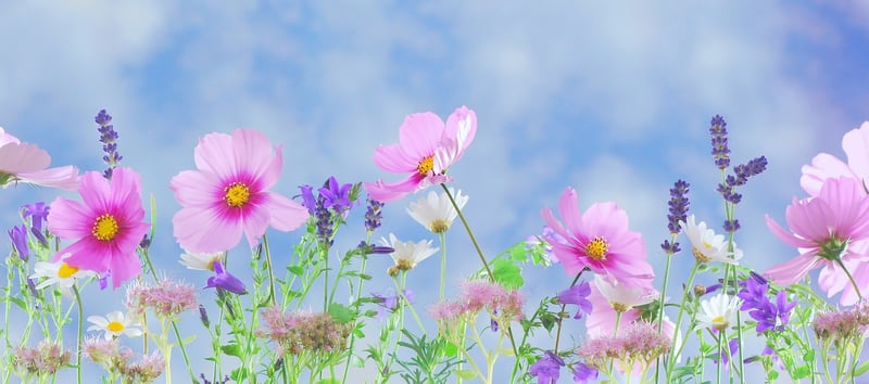 Fantasy botanicals